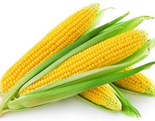 十大活血化瘀的食物排名,紅花能疏通經(jīng)絡(luò),當(dāng)歸緩解月經(jīng)不調(diào)