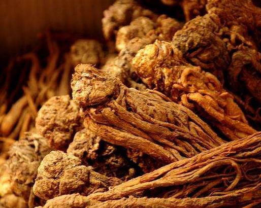 十大活血化瘀的食物排名,紅花能疏通經(jīng)絡(luò),當(dāng)歸緩解月經(jīng)不調(diào)