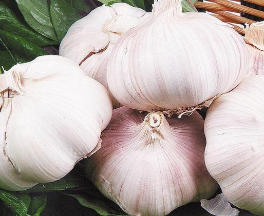 十大降血糖食物排行榜,苦瓜調節血糖,燕麥利于排便