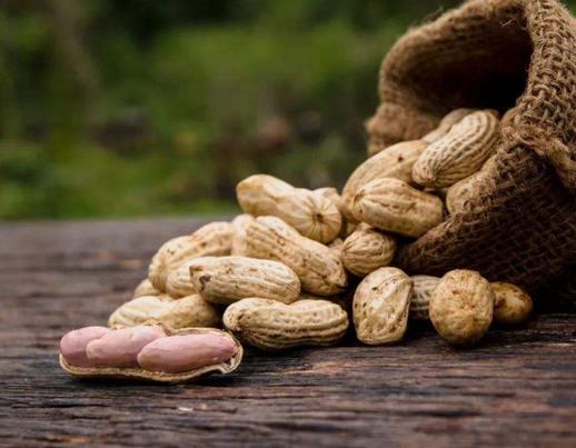 十大補氣食物排行,大棗適合氣虛患者,羊肉補腎養(yǎng)肝