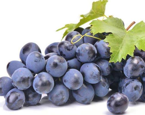 十大補氣食物排行,大棗適合氣虛患者,羊肉補腎養(yǎng)肝