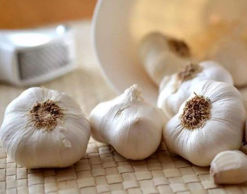 十大軟化血管的食物排名,玉米富含不飽和脂肪酸,海帶能降膽固醇