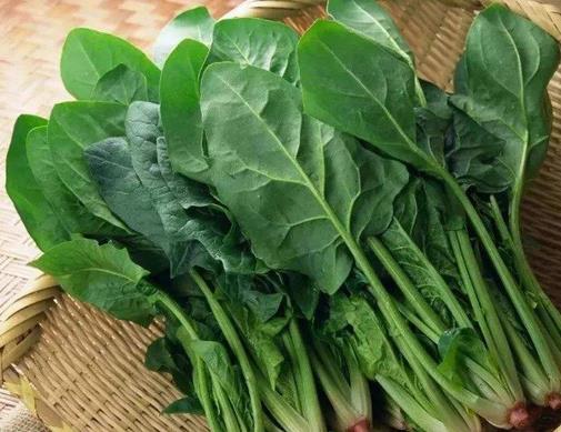 十大食物含碘量排行表,多吃海藻健康補碘,鱈魚營養豐富