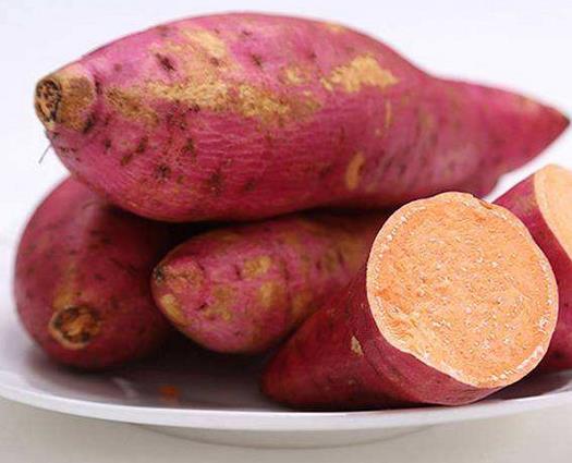 十大祛濕食物排行榜,薏仁促進體內血液循環,燕麥促進腸胃蠕動