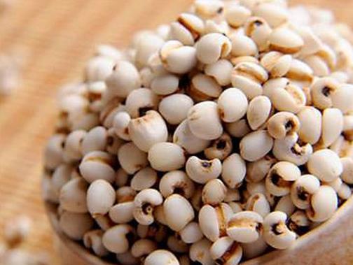 十大祛濕食物排行榜,薏仁促進體內血液循環,燕麥促進腸胃蠕動