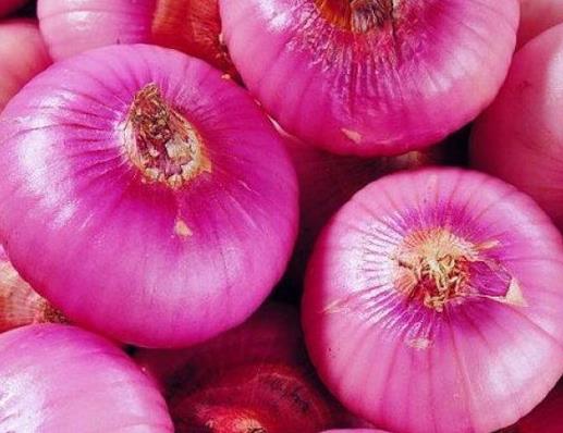 十大活血化瘀的食物排行榜,紅花能疏通經(jīng)絡(luò),當(dāng)歸緩解月經(jīng)不調(diào)