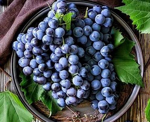 十大活血化瘀的食物排行榜,紅花能疏通經(jīng)絡(luò),當(dāng)歸緩解月經(jīng)不調(diào)