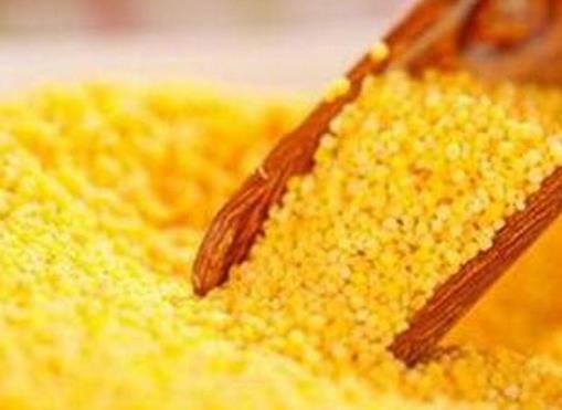 十大祛濕食物排行榜,薏仁促進體內血液循環,燕麥促進腸胃蠕動