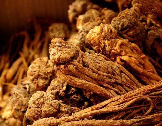 十大活血化瘀的食物排行榜,紅花能疏通經(jīng)絡(luò),當(dāng)歸緩解月經(jīng)不調(diào)