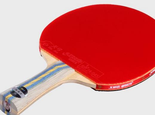 世界乒乓球拍品牌排行,紅雙喜是知名運動品牌,雙魚知名度高