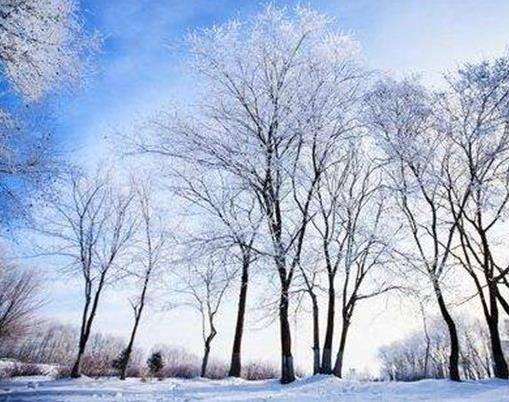 中國最冷的地方排名,根河市最低氣溫-58度,牙克石市是冰雪之鄉