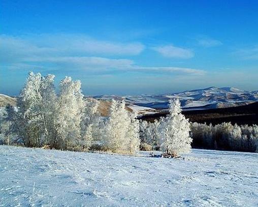 中國最冷的地方排名,根河市最低氣溫-58度,牙克石市是冰雪之鄉