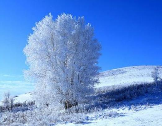 中國最冷的地方排名,根河市最低氣溫-58度,牙克石市是冰雪之鄉