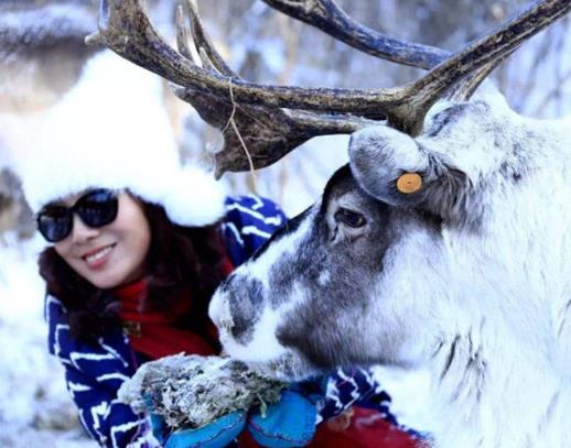 中國最冷的地方排名,根河市最低氣溫-58度,牙克石市是冰雪之鄉