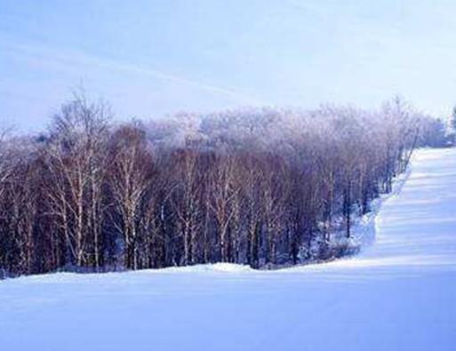 中國最冷的地方排名,根河市最低氣溫-58度,牙克石市是冰雪之鄉