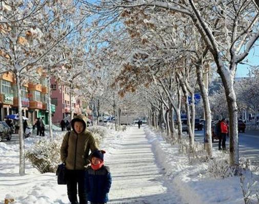 中國最冷的地方排名,根河市最低氣溫-58度,牙克石市是冰雪之鄉