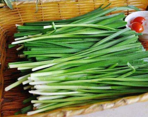 十大壯陽食物排行榜,羊肉極具滋補價值,牡蠣能補腎澀精