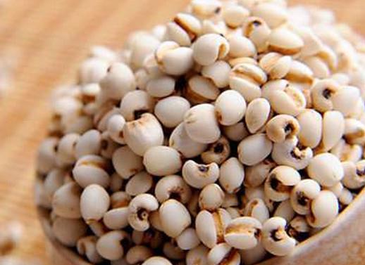 十大補脾食物排行榜,糯米補中益氣,玉米除濕利尿