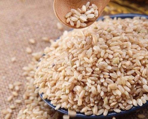 十大補脾食物排行榜,糯米補中益氣,玉米除濕利尿