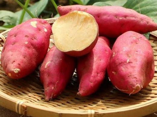 十大補脾食物排行榜,糯米補中益氣,玉米除濕利尿