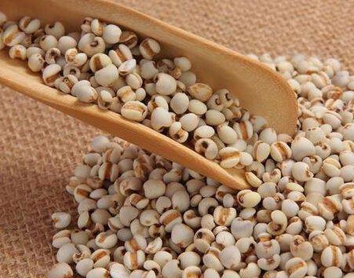 十大最佳消腫的食物排行,冬瓜清熱利水,燕麥粥增加飽腹感