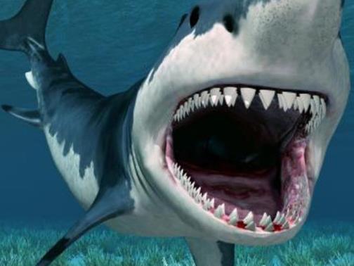 世界十大最耐餓的動物,洞螈可以十年不吃東西,蛇會冬眠