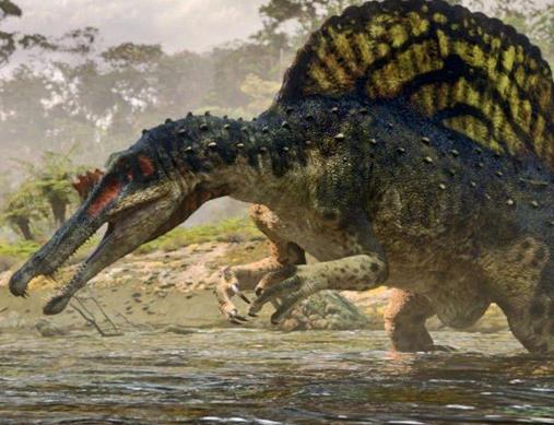 十大肉食恐龍排名,棘龍是最大食肉恐龍,蠻王龍實力最強