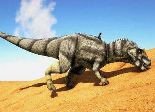 十大肉食恐龍排名,棘龍是最大食肉恐龍,蠻王龍實力最強