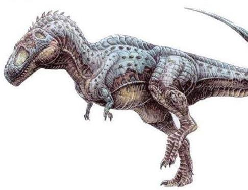 十大肉食恐龍排名,棘龍是最大食肉恐龍,蠻王龍實力最強