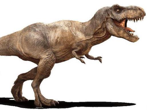 十大肉食恐龍排名,棘龍是最大食肉恐龍,蠻王龍實力最強