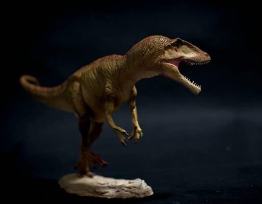 十大肉食恐龍排名,棘龍是最大食肉恐龍,蠻王龍實力最強