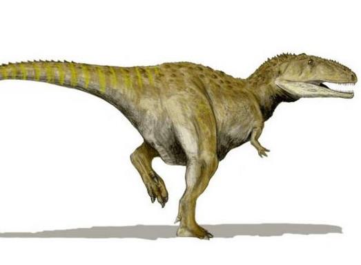 十大肉食恐龍排名,棘龍是最大食肉恐龍,蠻王龍實力最強