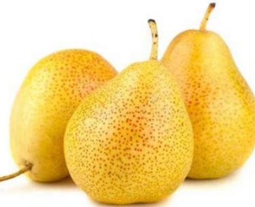 十大潤腸通便的水果排名,香蕉鉀含量高,獼猴桃能預防結腸癌