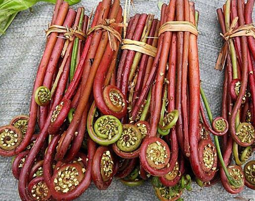 農村常見的十種野菜排名,地皮菜下酒很不錯,苦菜又叫苦苣菜