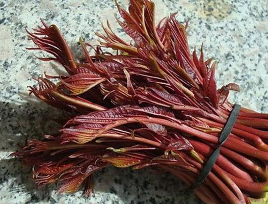 農村常見的十種野菜排名,地皮菜下酒很不錯,苦菜又叫苦苣菜