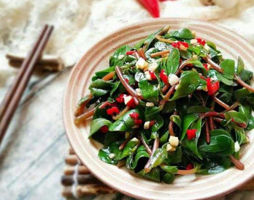 農村常見的十種野菜排名,地皮菜下酒很不錯,苦菜又叫苦苣菜