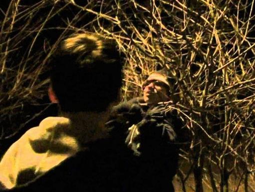 世界十大吃人植物排名,蛇樹十分邪惡,食人花很可怕