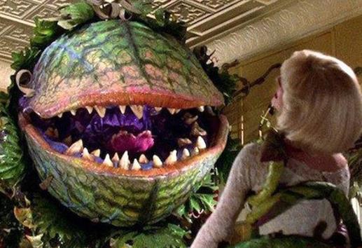 世界十大吃人植物排名,蛇樹十分邪惡,食人花很可怕