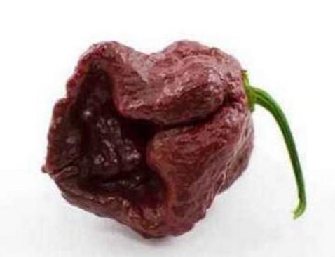 世界十大最辣辣椒排名,卡羅萊納死神、特立尼達(dá)莫魯加蝎不敢挑戰(zhàn)