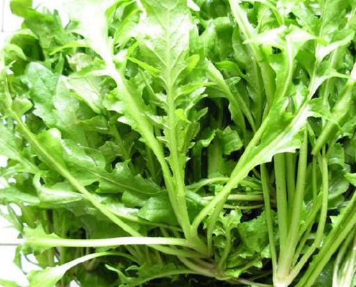 農村常見的十種野菜排名,地皮菜下酒很不錯,苦菜又叫苦苣菜