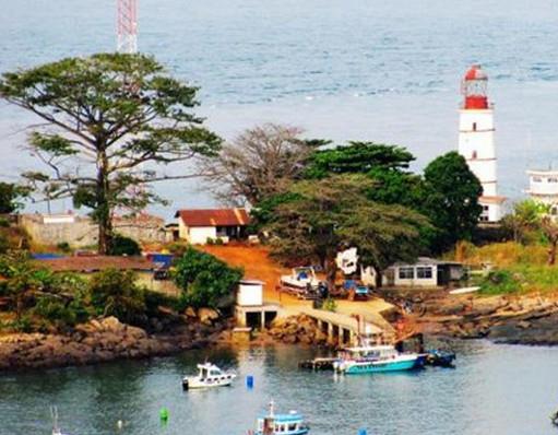 世界十大最受歡迎的樹,謝爾曼將軍樹、圖爾樹深受大眾喜愛