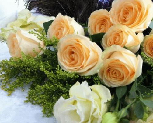 玫瑰花顏色花語大全,紅玫瑰象征炙熱的愛意,白玫瑰代表純潔天真