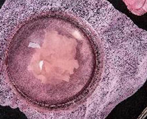 情侶十大創意禮物排行榜,星空投影機很夢幻,定制照片抱枕有意義