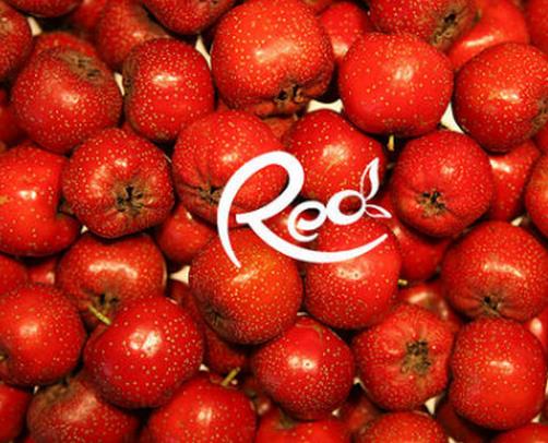 十大膽囊炎忌口的食物,酸性食物刺激腸胃,過熱食物不宜食用