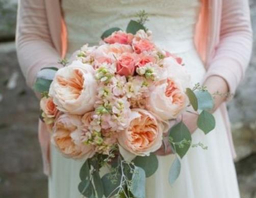 世界上最貴的10種鮮花,曇花是無價之寶,朱麗葉玫瑰很優雅