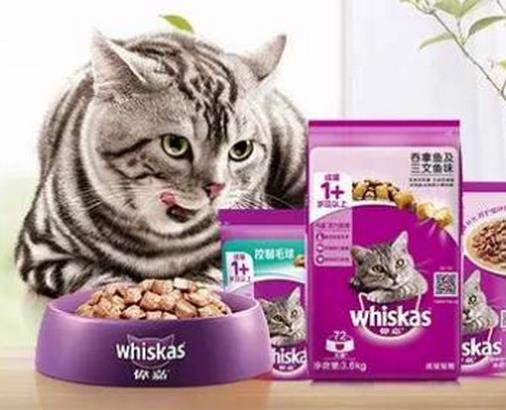 進(jìn)口貓糧品牌排行榜,偉嘉貓糧是國(guó)際品牌,愛慕思值得信賴