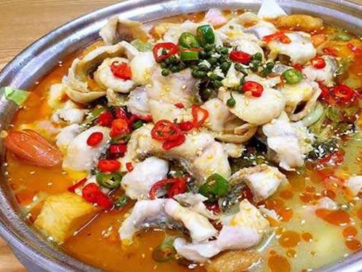 2020年魚火鍋品牌,籮籮酸湯魚火鍋、辣山海魚火鍋深受歡迎