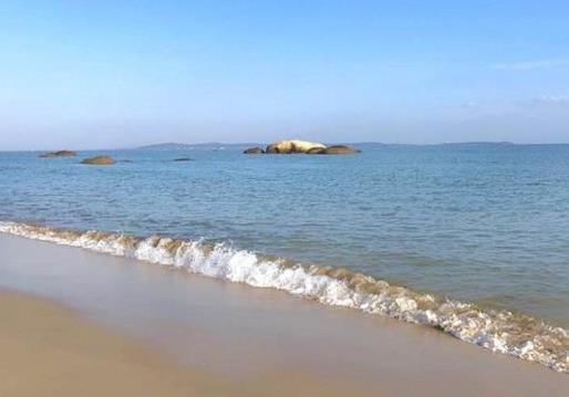 國內(nèi)十大旅游城市排行榜,伊犁很夢幻、長白山是滿族發(fā)祥地