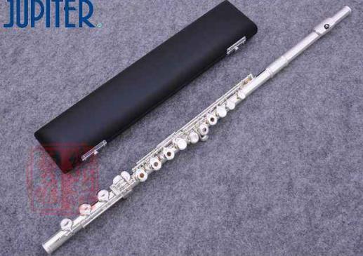 十大高人氣長笛品牌排名,雅馬哈長笛、愛樂斯長笛很受歡迎