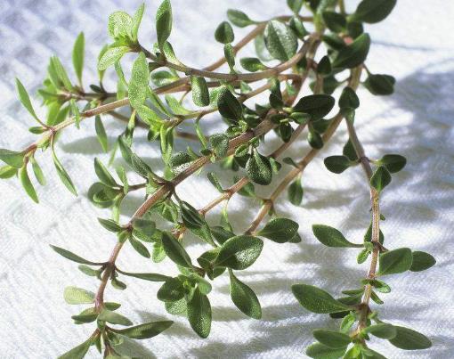 世界十大頂級香料排名,藏紅花、香子蘭令人癡迷不已